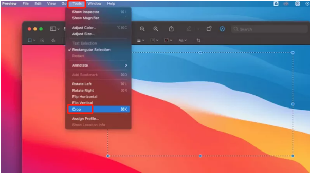 使用预览在 Mac 上裁剪屏幕截图